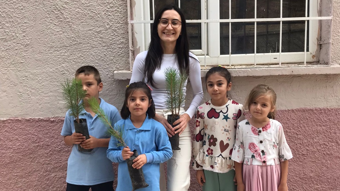 Yeşil Vatanı Koru